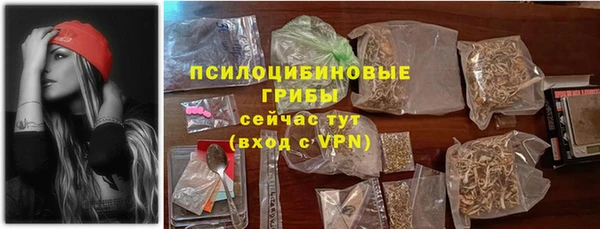 твердый Алексин