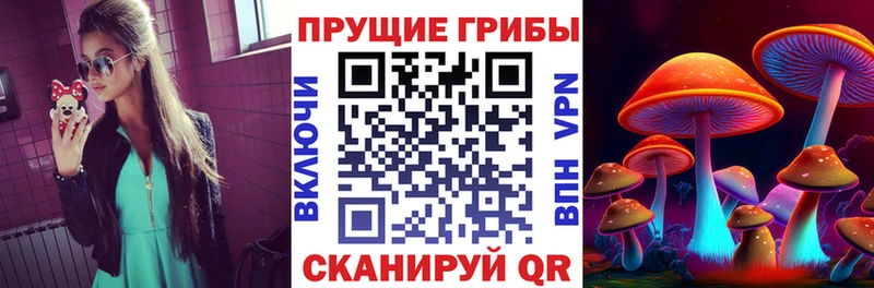 Псилоцибиновые грибы MAGIC MUSHROOMS  ссылка на мегу зеркало  Спасск-Рязанский 